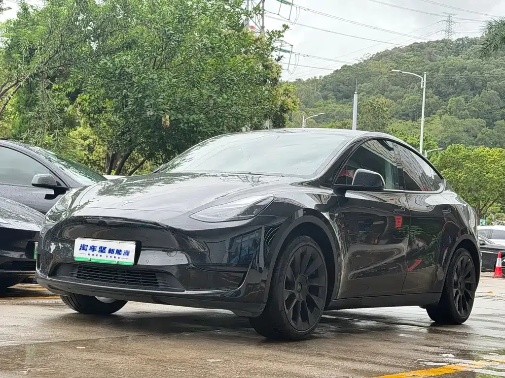 Tesla Model Y — фото 1