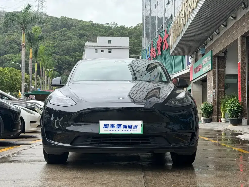 Tesla Model Y — фото 8