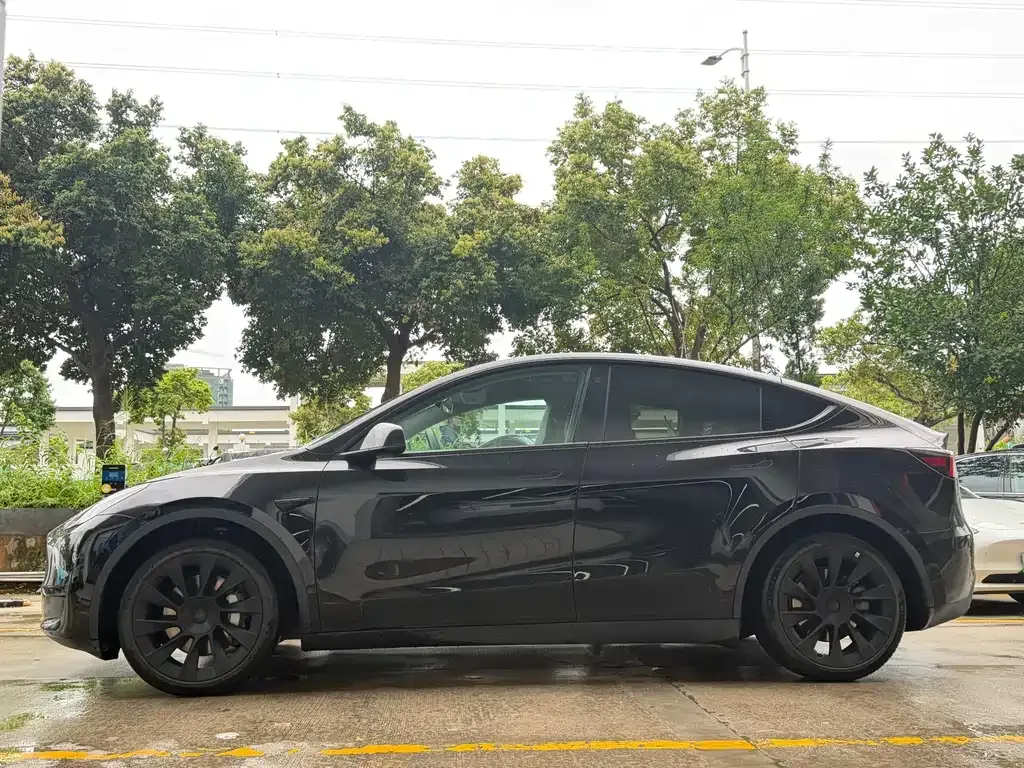 Tesla Model Y — фото 7