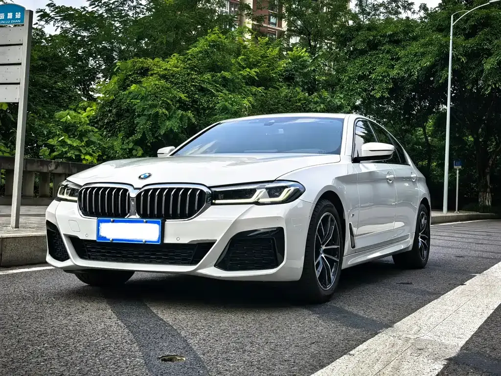 BMW 5 Series (Import)