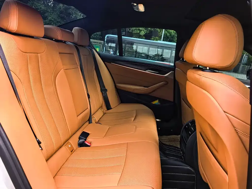BMW 5 Series (Import) 2022 из CN, фото 2