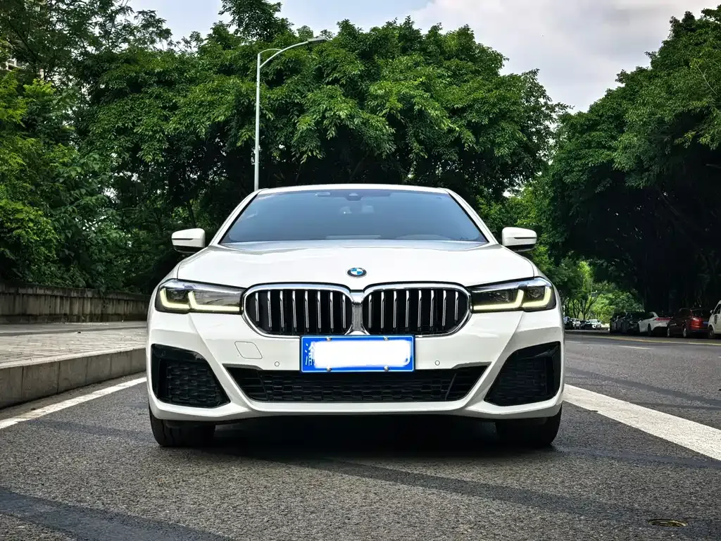BMW 5 Series (Import) 2022 из CN, фото 8