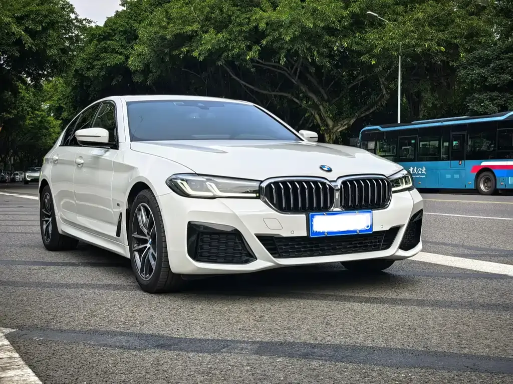 BMW 5 Series (Import) 2022 из CN, фото 7
