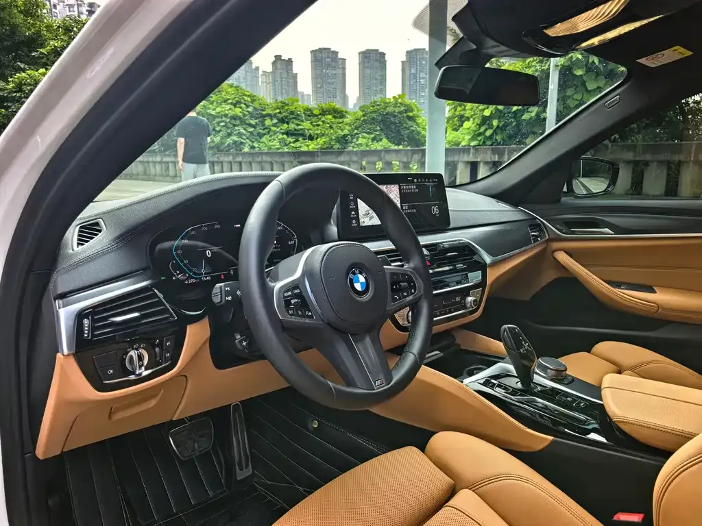 BMW 5 Series (Import) 2022 из CN, фото 10