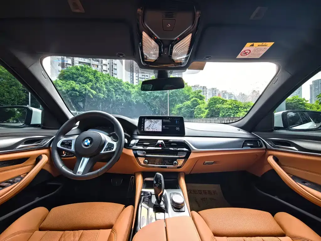 BMW 5 Series (Import) 2022 из CN, фото 4