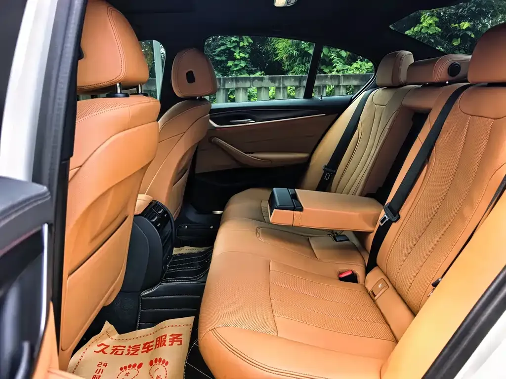 BMW 5 Series (Import) 2022 из CN, фото 5