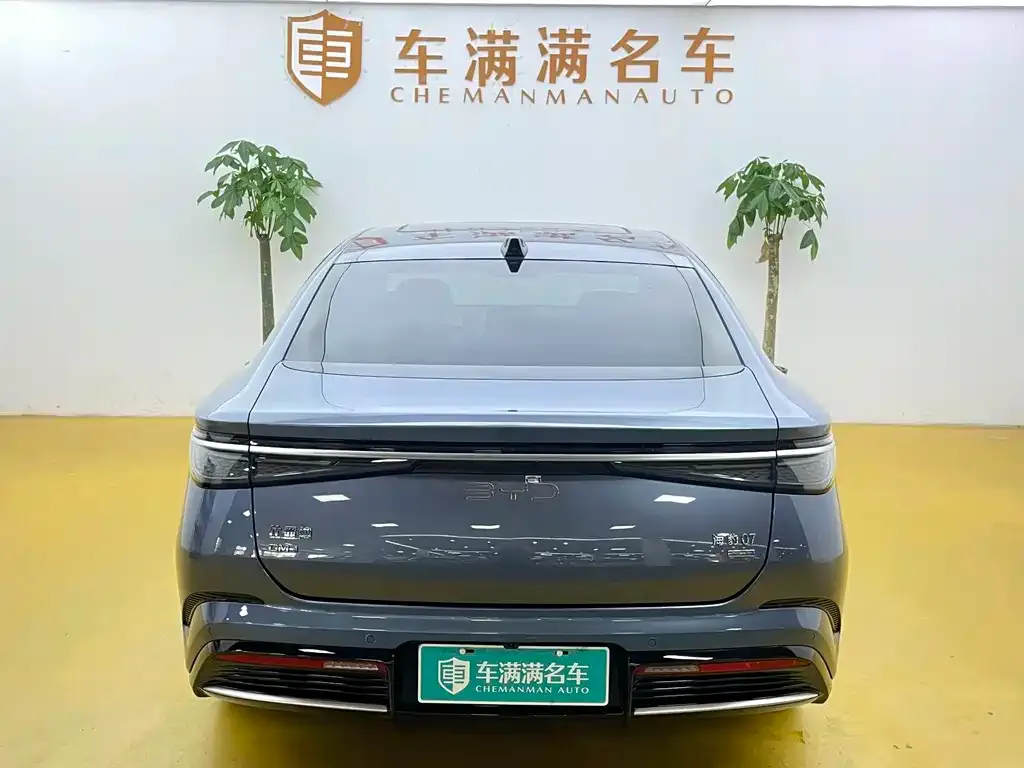 BYD Seal 07 DM-i 2025 из CN, фото 7