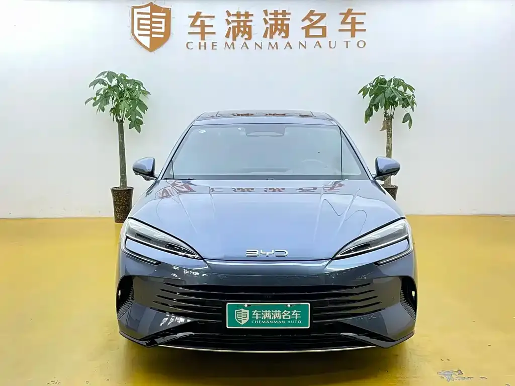 BYD Seal 07 DM-i 2025 из CN, фото 2