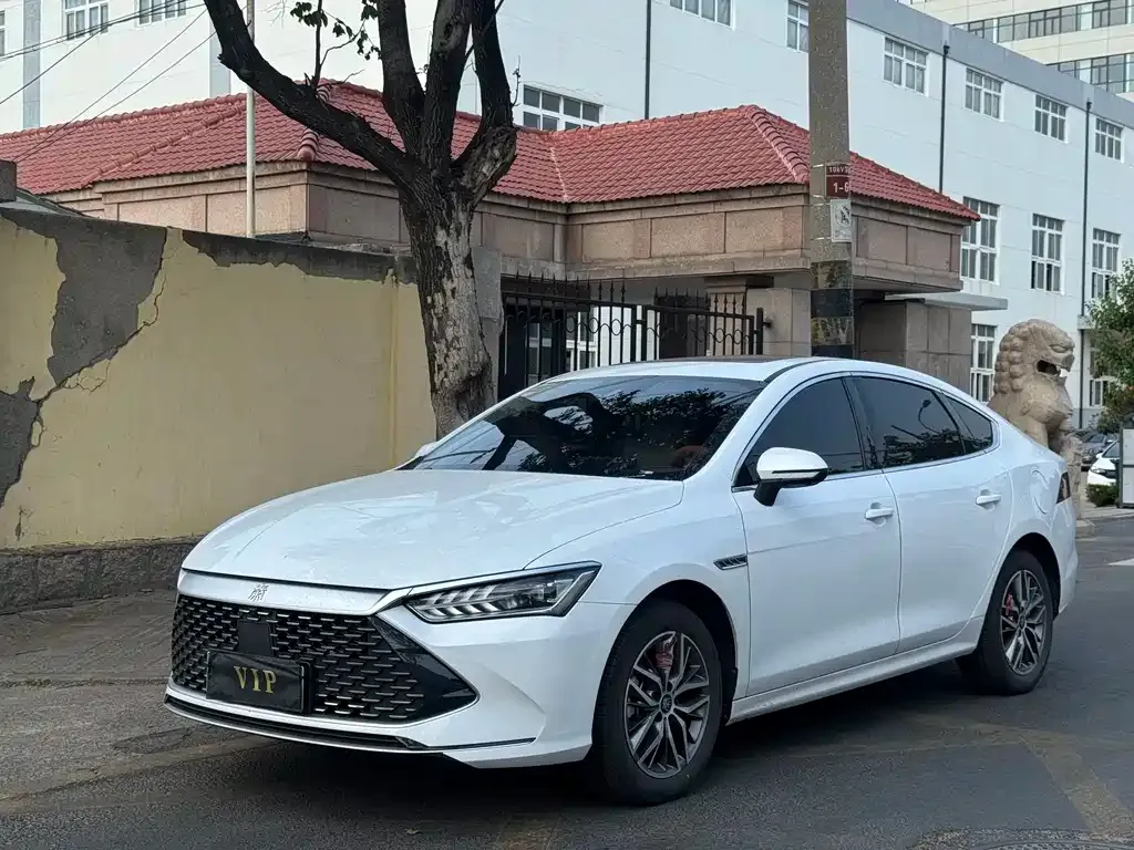 BYD Qin PLUS — фото 1
