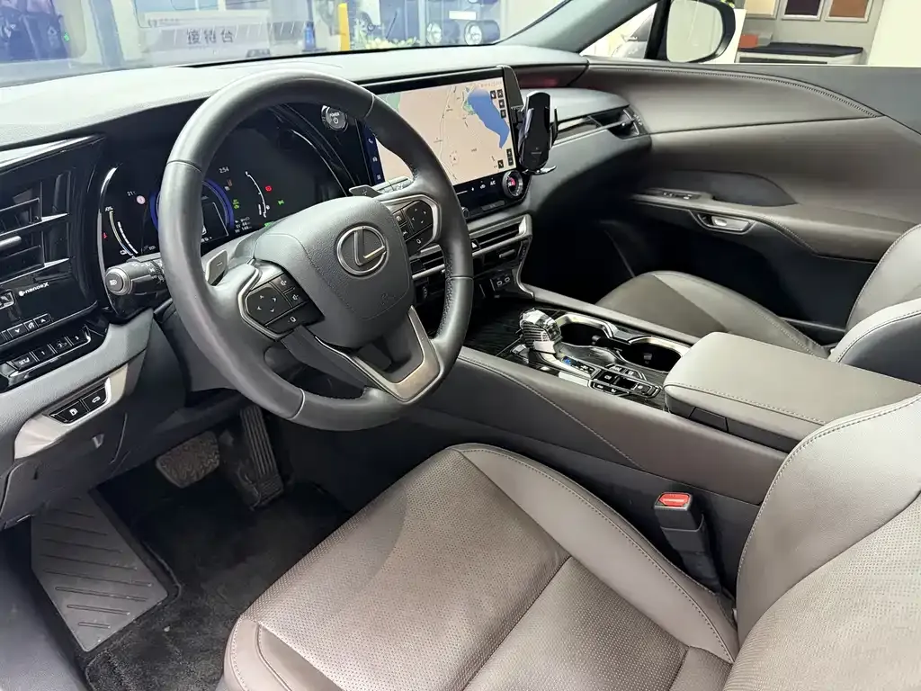 Lexus RX New Energy 2024 из CN, фото 8