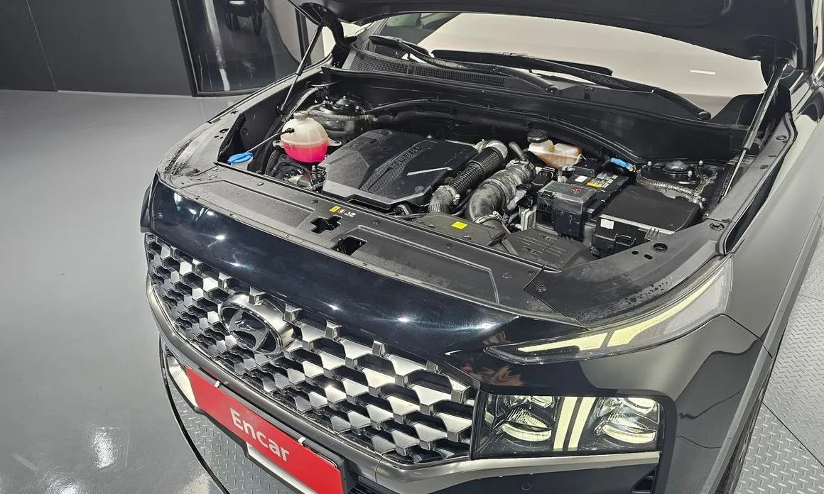 Hyundai Santafe 2023 из KR, фото 10