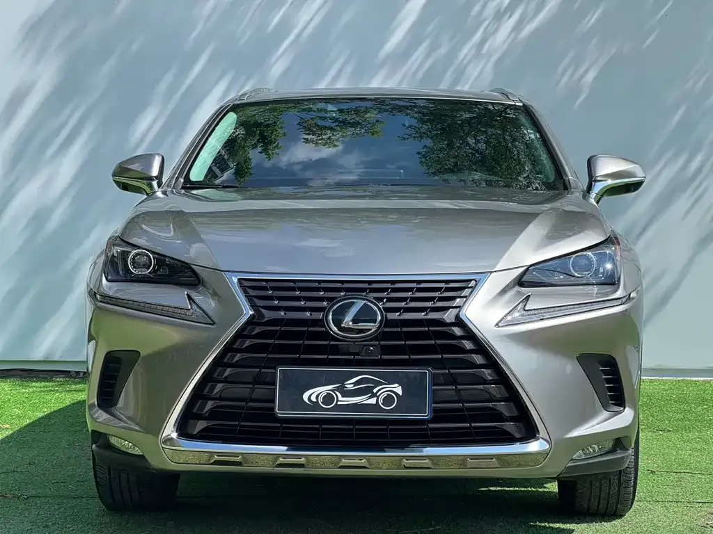 Lexus NX 2021 из CN, фото 3