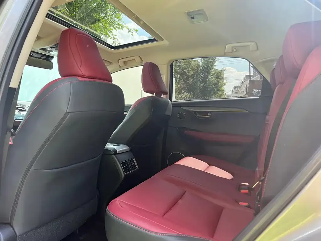 Lexus NX 2021 из CN, фото 9