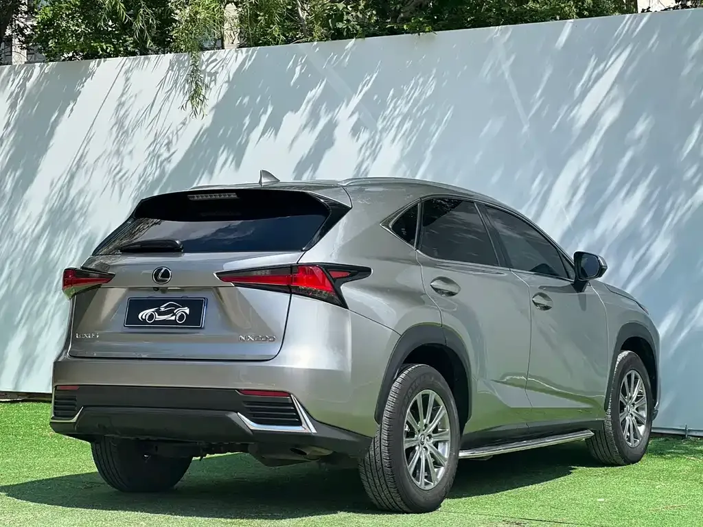 Lexus NX 2021 из CN, фото 7