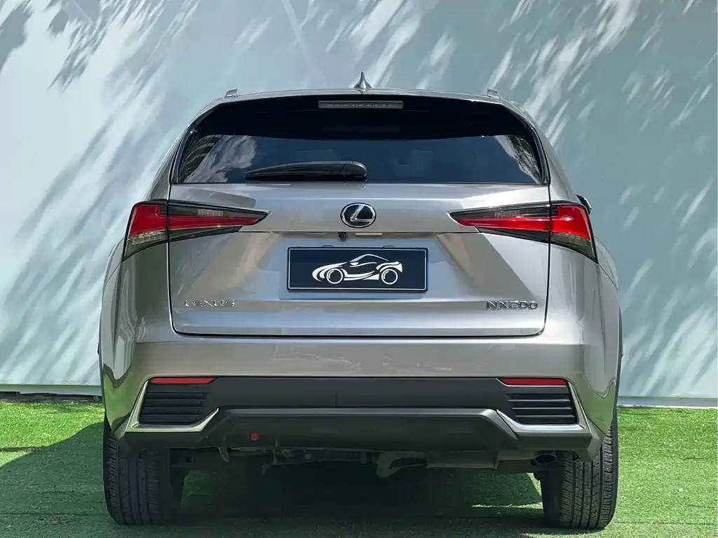 Lexus NX 2021 из CN, фото 4