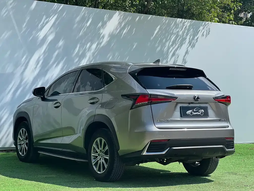Lexus NX 2021 из CN, фото 5