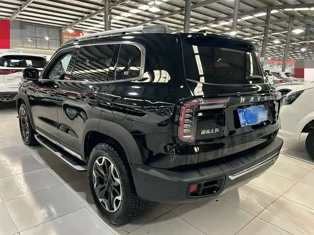 Haval Big Dog — фото 7
