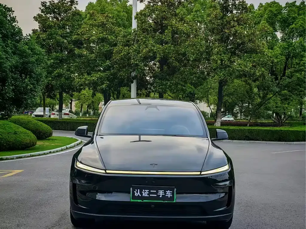 Tesla Model Y L 2026 из CN, фото 6