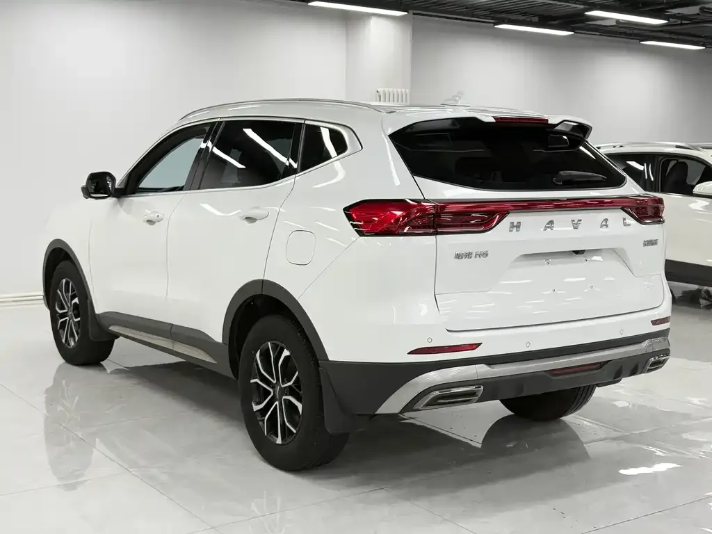 Haval H6 — фото 8