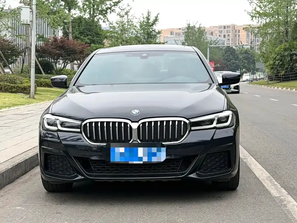 BMW 5 Series 2021 из CN, фото 4