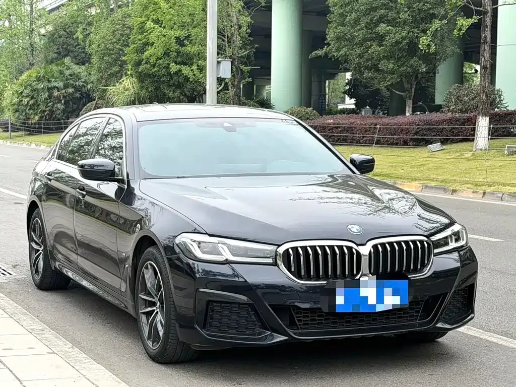 BMW 5 Series 2021 из CN, фото 5