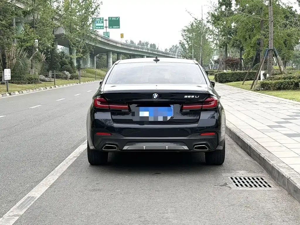 BMW 5 Series 2021 из CN, фото 9
