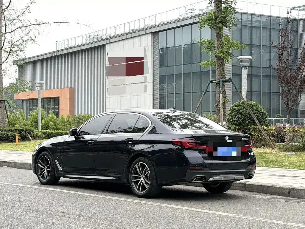 BMW 5 Series 2021 из CN, фото 8