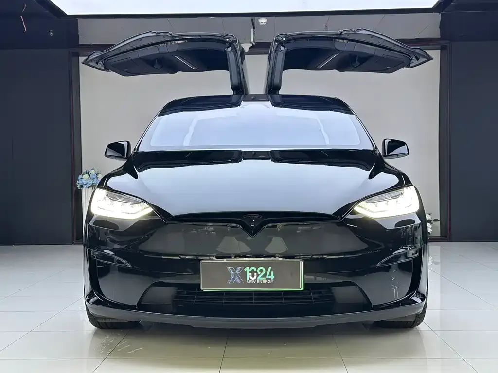 Tesla Model X 2023 из CN, фото 8