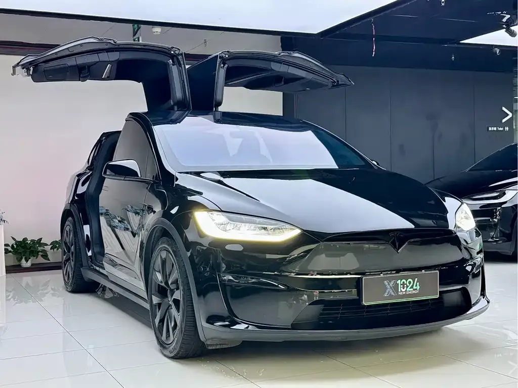 Tesla Model X 2023 из CN, фото 9