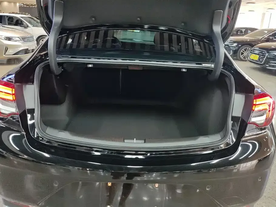 Buick Regal — фото 6