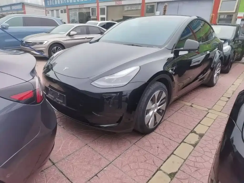 Tesla Model Y — фото 9