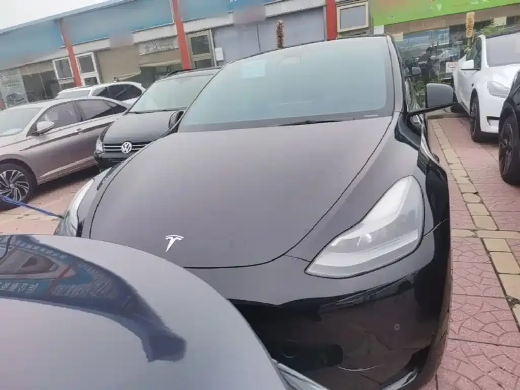 Tesla Model Y — фото 2
