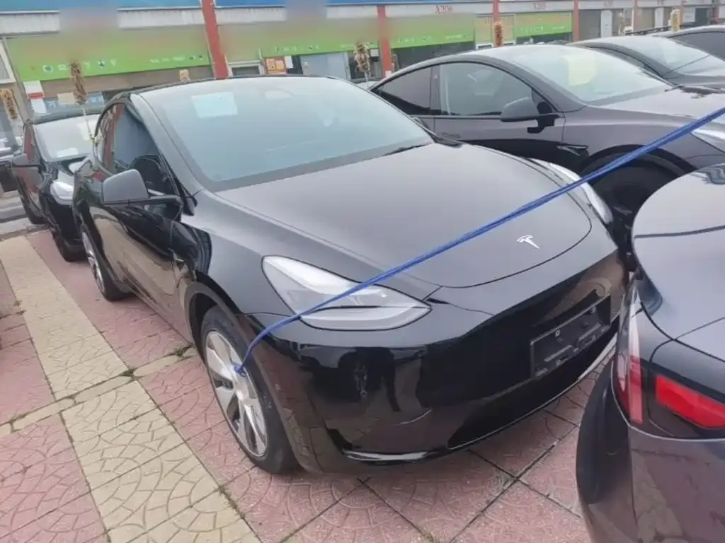 Tesla Model Y — фото 8