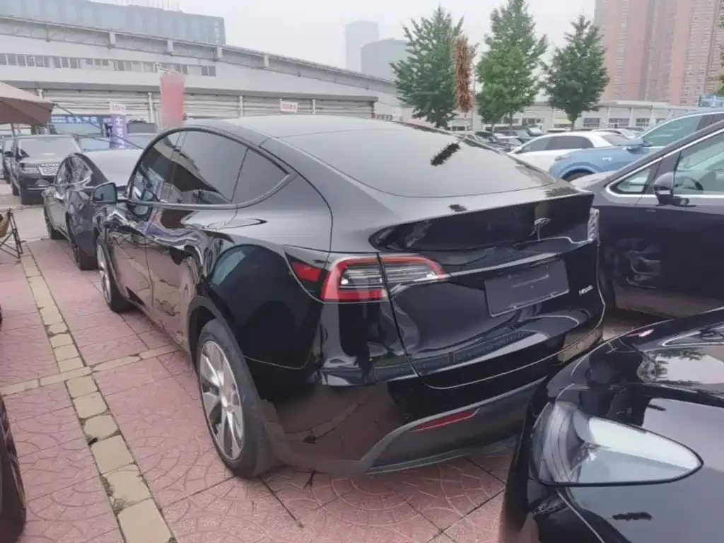 Tesla Model Y — фото 10