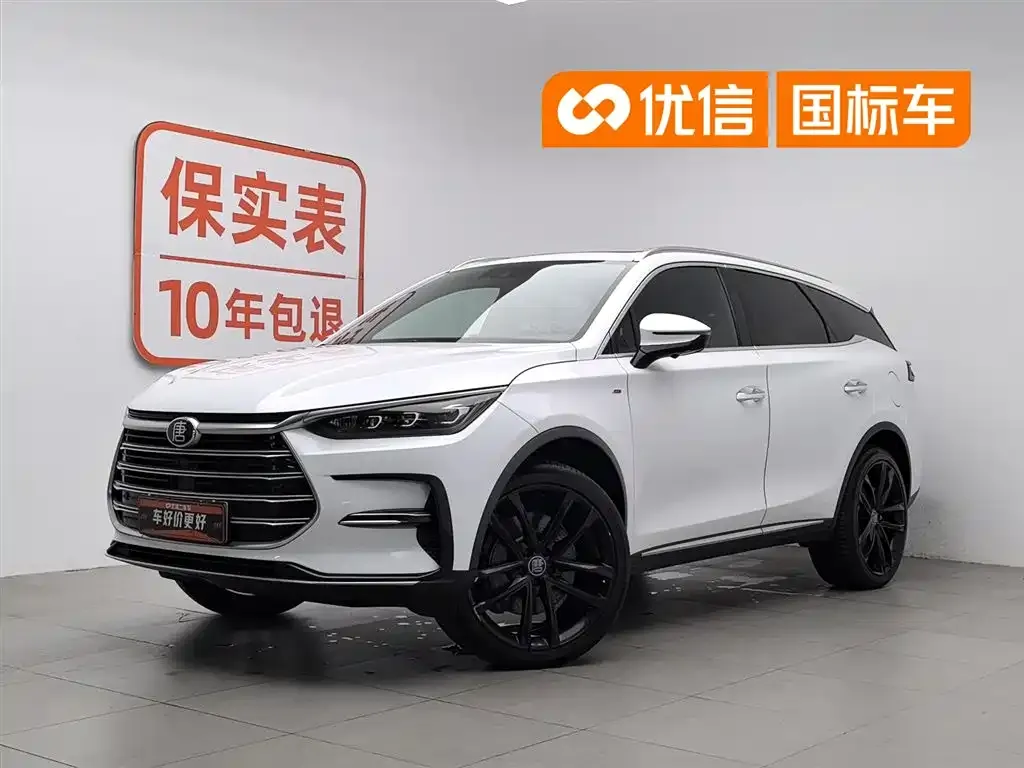 BYD Tang New Energy — фото 1