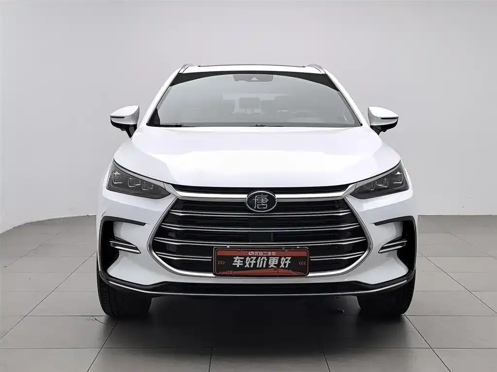 BYD Tang New Energy — фото 2
