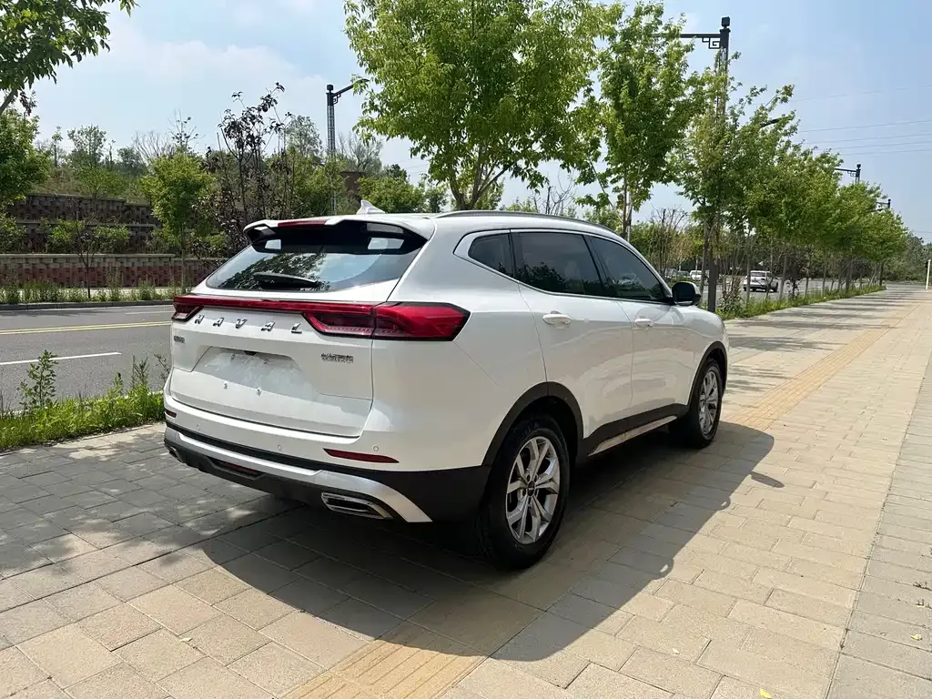 Haval H6 — фото 9