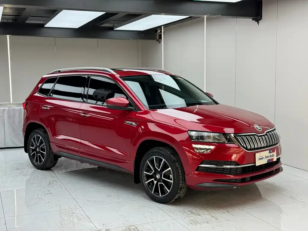 Skoda Karoq 2022 из CN, фото 4
