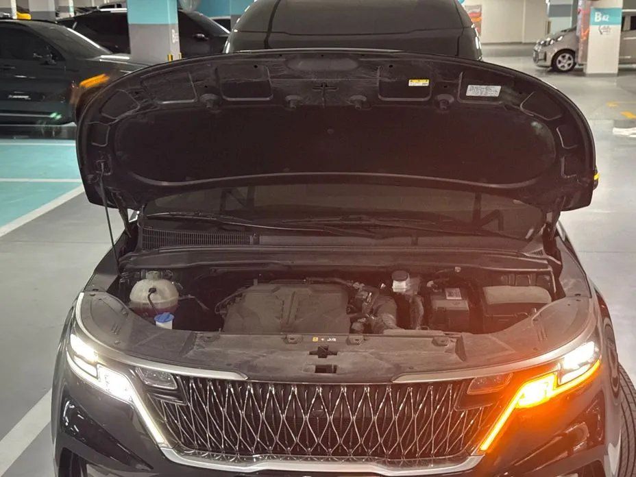 Kia Carnival 2022 из KR, фото 8