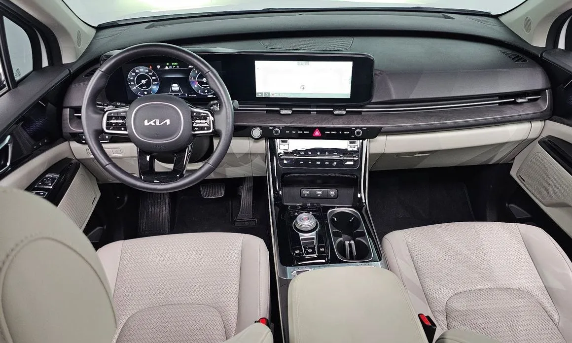 Kia Carnival — фото 10