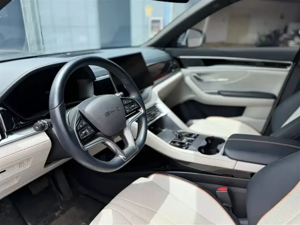 BYD PLUS New Energy — фото 6
