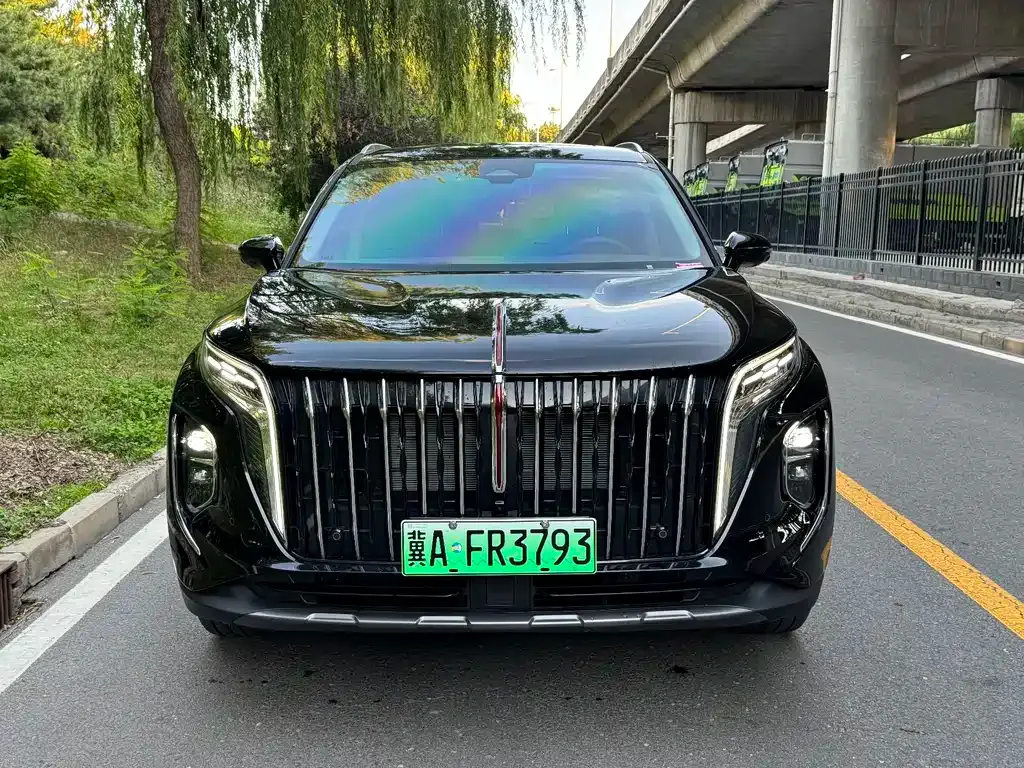 Hongqi HS7 PHEV 2026 из CN, фото 4