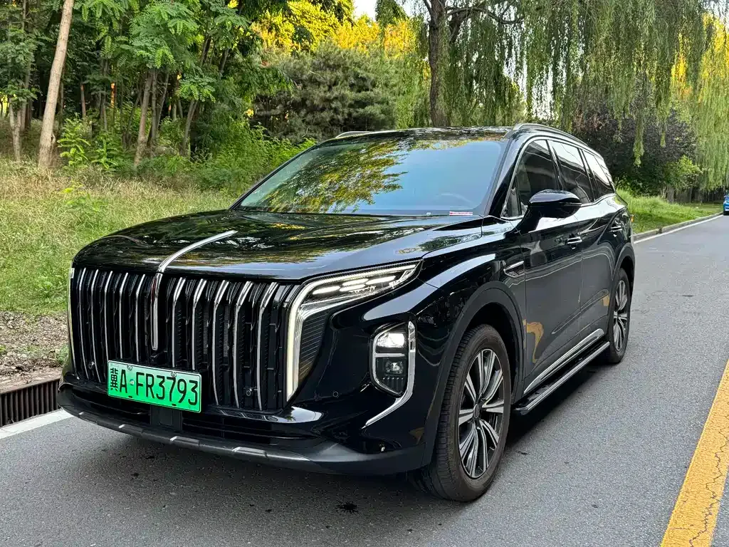 Hongqi HS7 PHEV 2026 из CN, фото 9