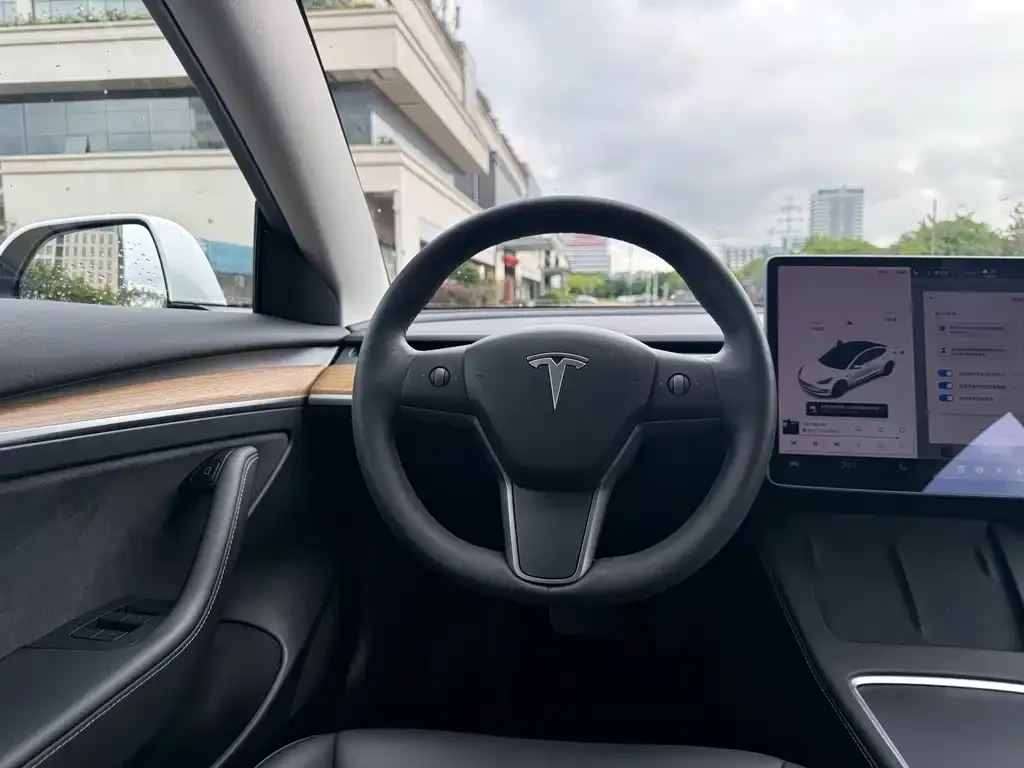 Tesla Model 3 — фото 2