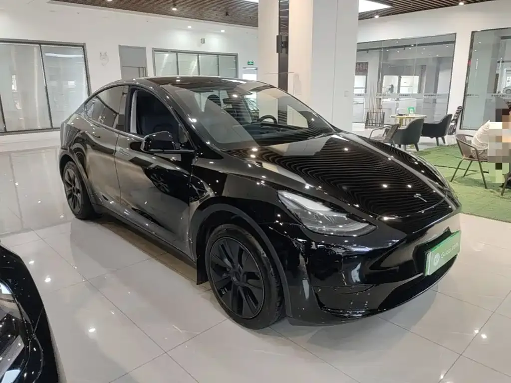 Tesla Model Y — фото 10