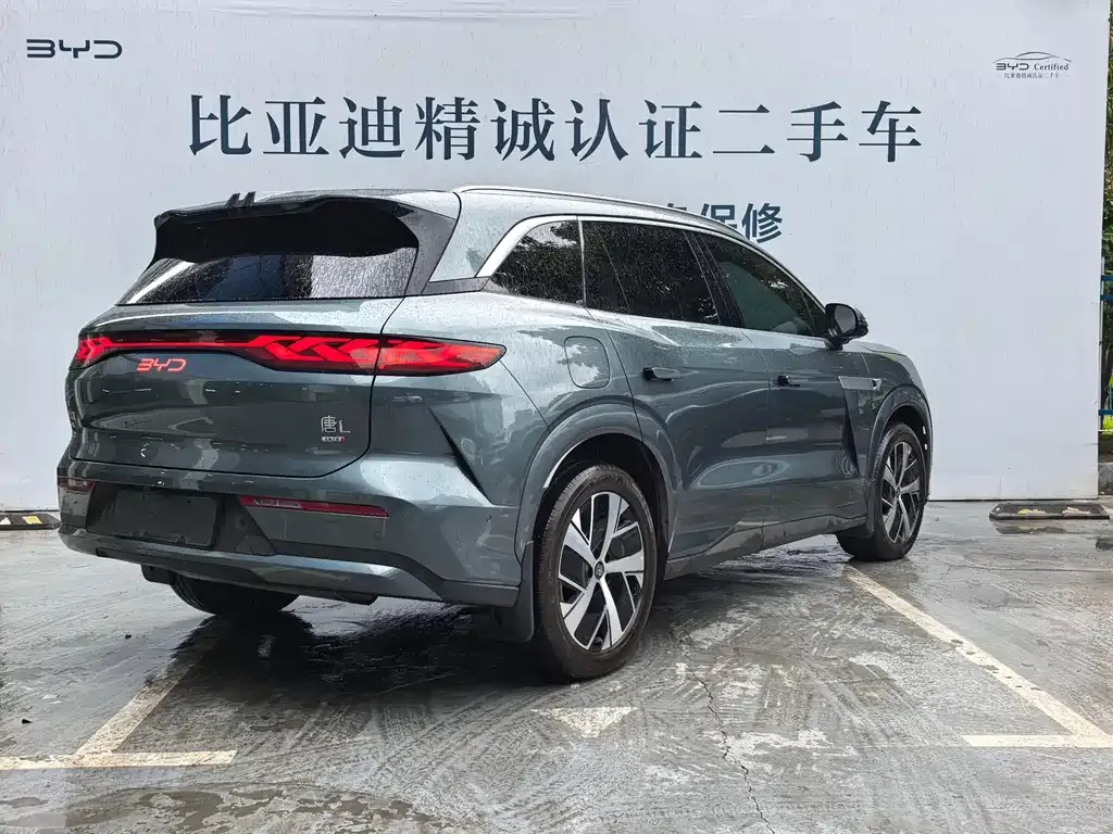BYD Tang L — фото 5