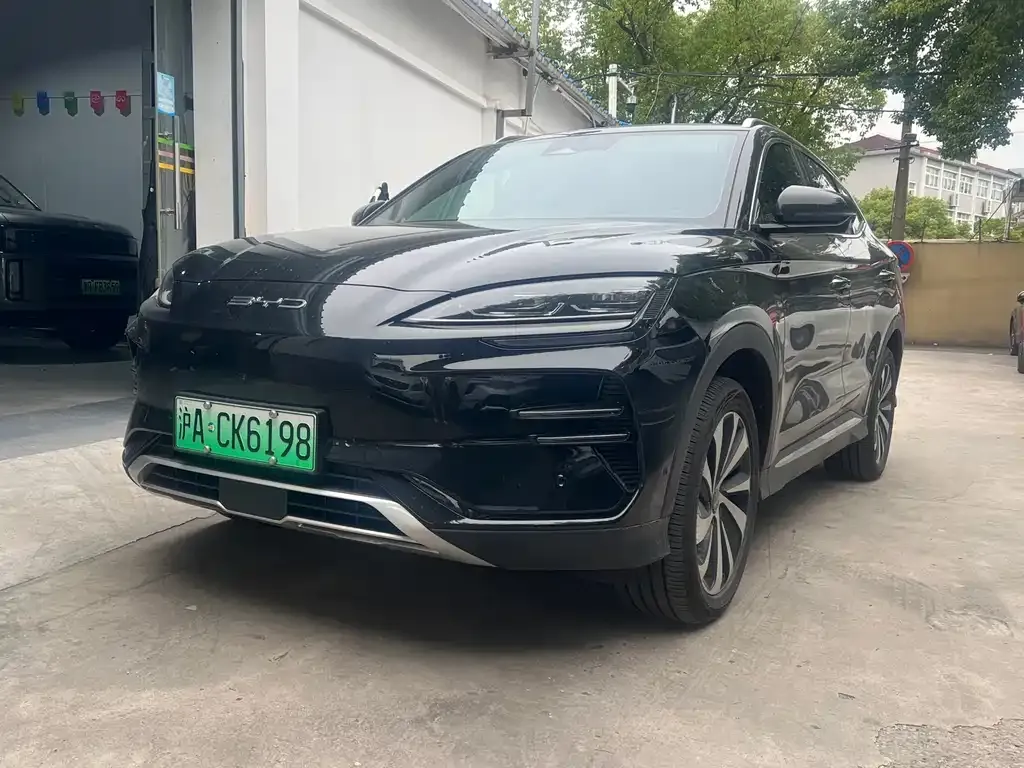 BYD PLUS New Energy — фото 1