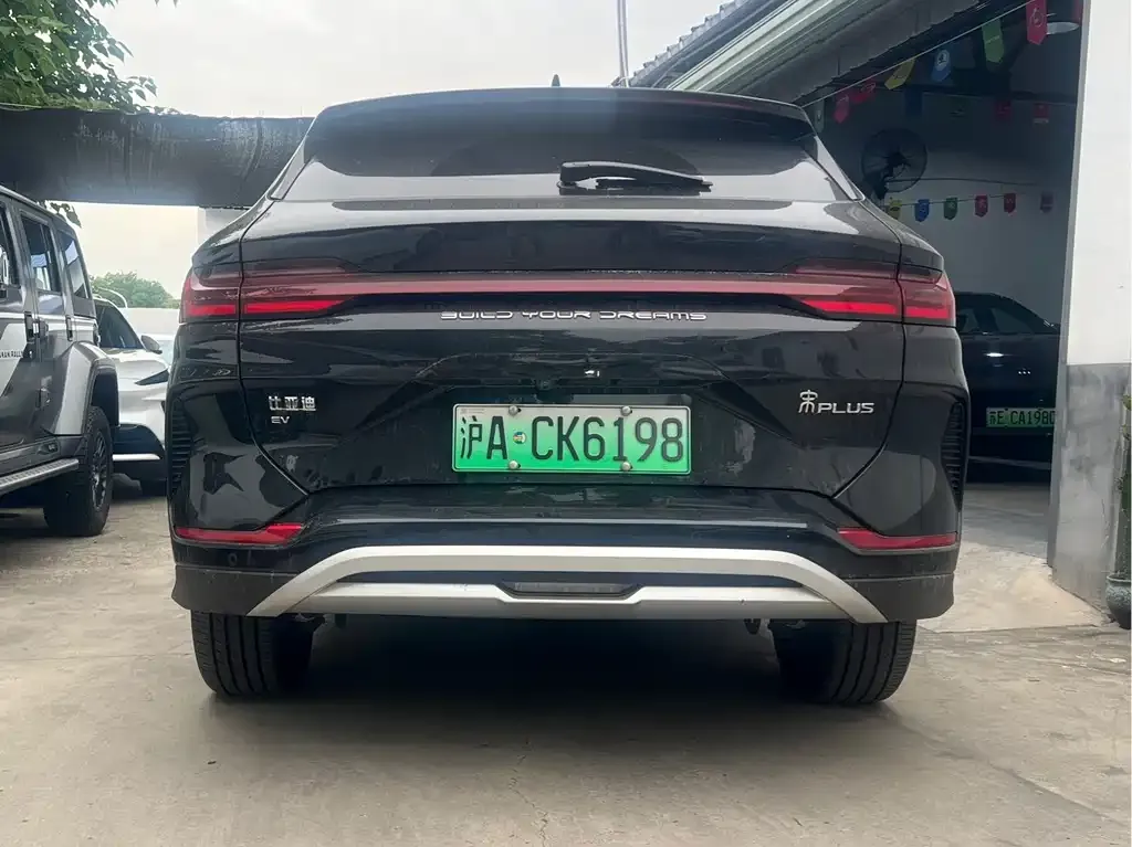 BYD PLUS New Energy — фото 4