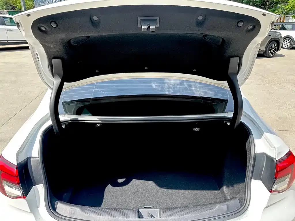 Buick Regal — фото 8