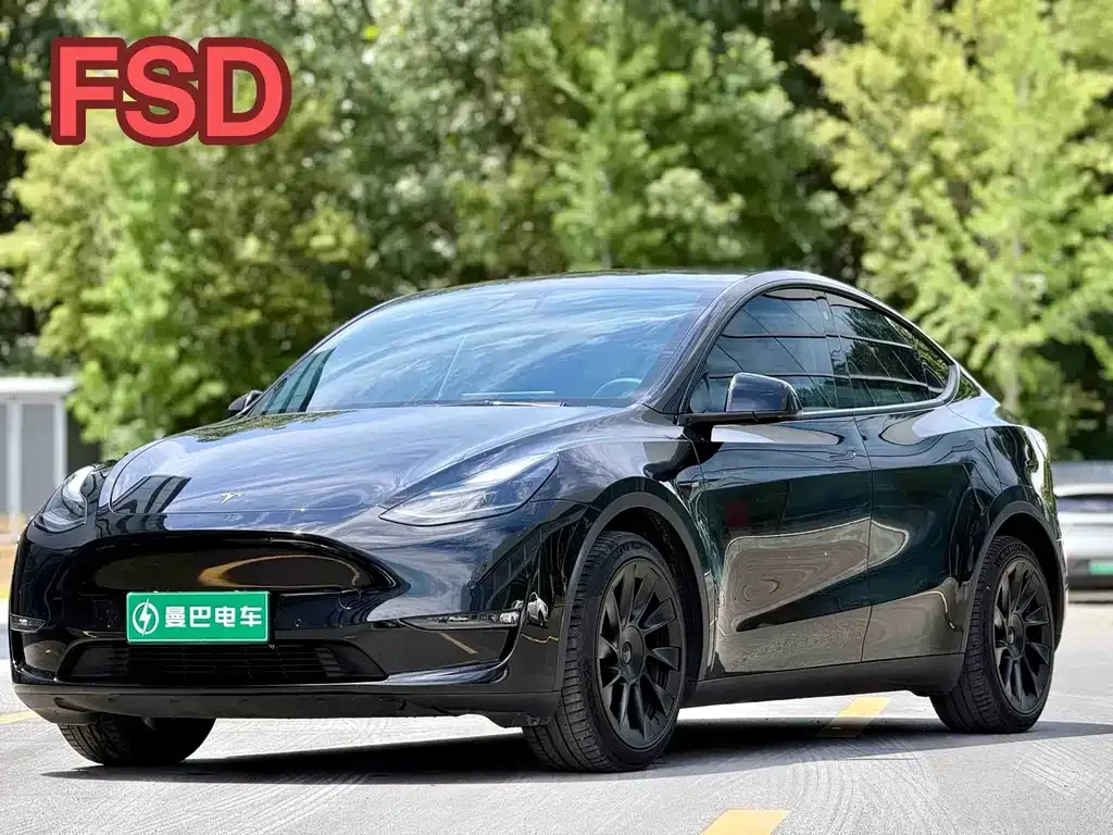 Tesla Model Y — фото 1